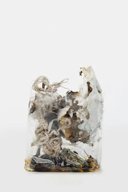 Zip 01-01-2024 12-31-2024 — Yuji Agematsu — Exhibitions — Galerie Buchholz — Image 149