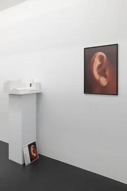 Projects for Outside ISA USA — Isa Genzken — Exhibitions — Galerie Buchholz — Image 164