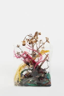 Zip 01-01-2024 12-31-2024 — Yuji Agematsu — Exhibitions — Galerie Buchholz — Image 159